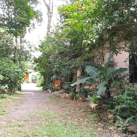 Casitas Del Bosque Monteverde. Ruang foto